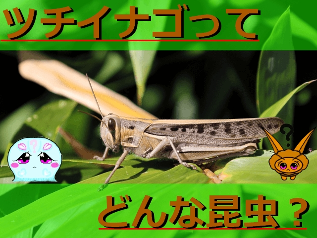 Thumbnail of post image 077